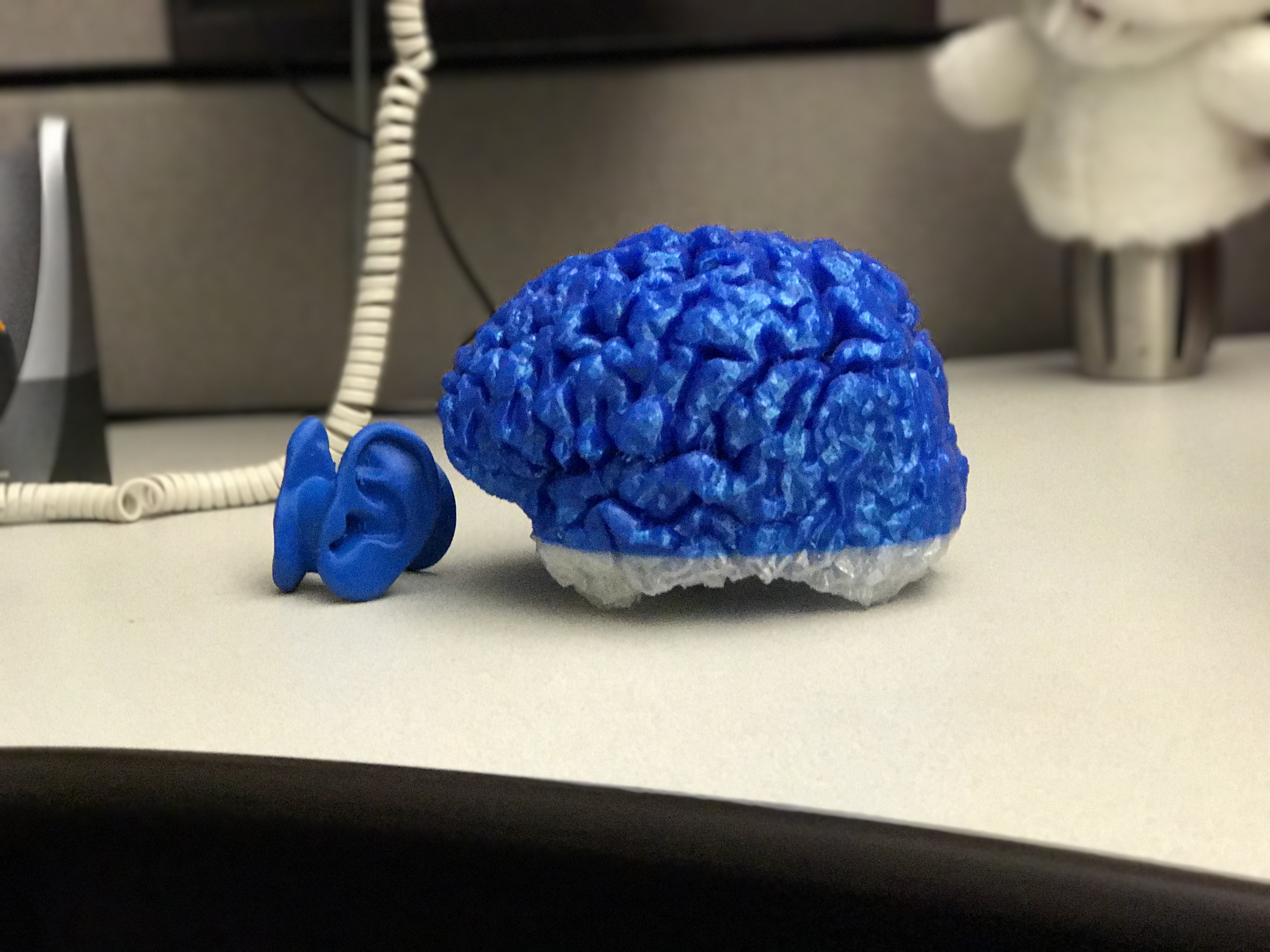 3D printed brain with bunny from Spamalot in background